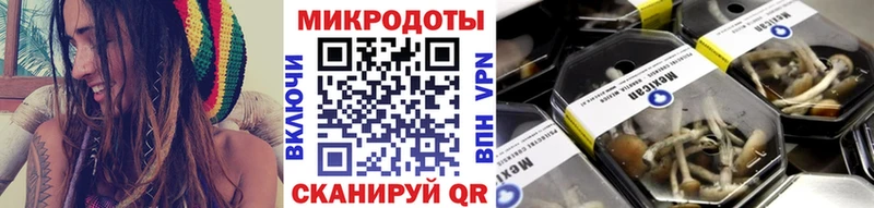 Купить где  Томари  Псилоцибиновые грибы GOLDEN TEACHER 